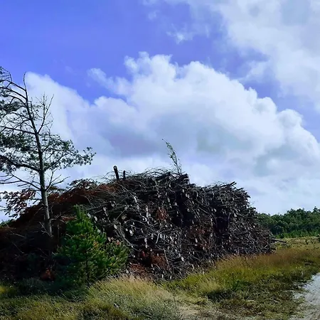 펜션 6 Person In Oksbol-by Traum