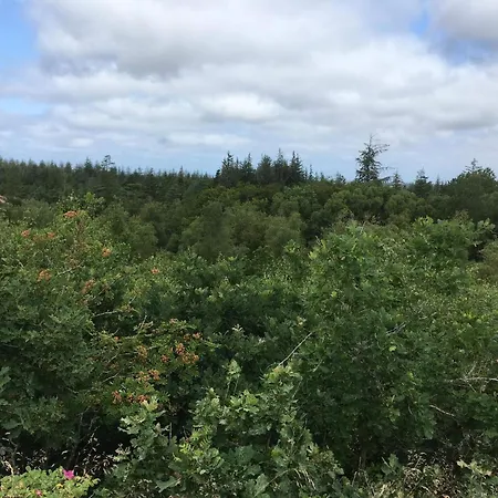 펜션 6 Person In Oksbol-by Traum Oksbøl