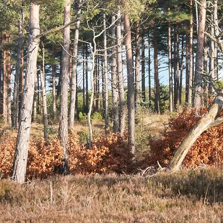 6 Person In Oksbol-by Traum