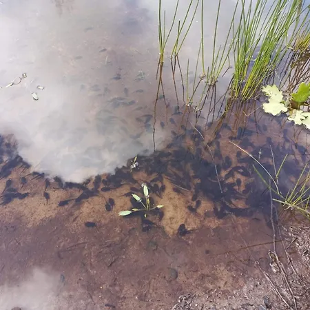 6 Person In Oksbol-by Traum 펜션 *