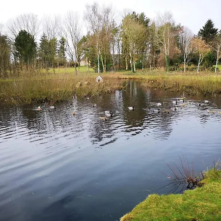 펜션 6 Person In Oksbol-by Traum Oksbøl